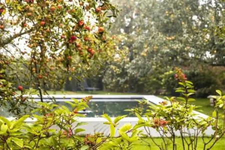 Reck's-Restaurant - 62