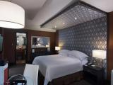 Premium Level Double Junior Suite