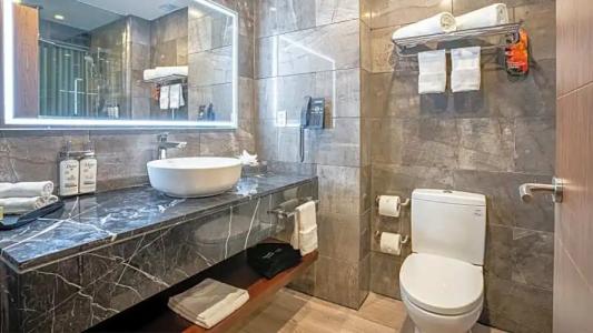 Holiday Inn Santo Domingo & Suites, an IHG - 97