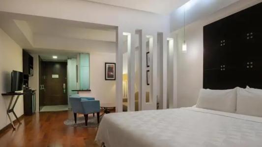 Holiday Inn Santo Domingo & Suites, an IHG - 117