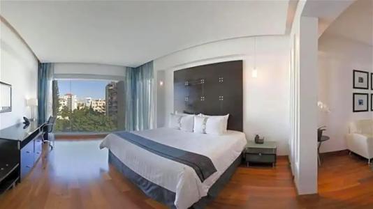 Holiday Inn Santo Domingo & Suites, an IHG - 114
