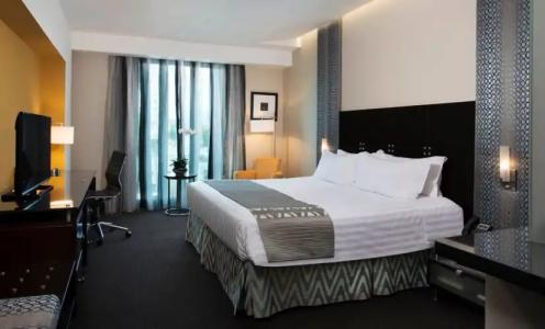 Holiday Inn Santo Domingo & Suites, an IHG - 9