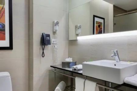 Holiday Inn Santo Domingo & Suites, an IHG - 52