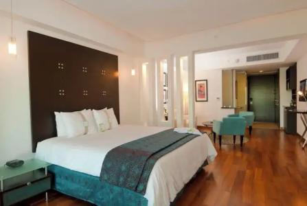 Holiday Inn Santo Domingo & Suites, an IHG - 101