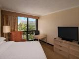 Guest Double room