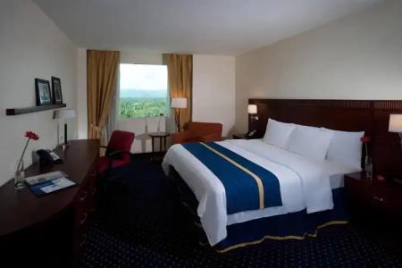 Hodelpa Garden Court - 5