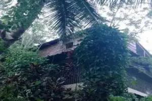 Real Dominican Republic Discovery, Puerto Plata
