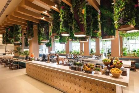 Hard Rock & Casino Punta Cana - All Inclusive - 11