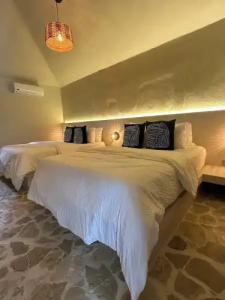 El Rincon de Abi - 55