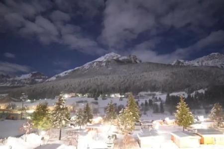 Garden Wellness S - 131