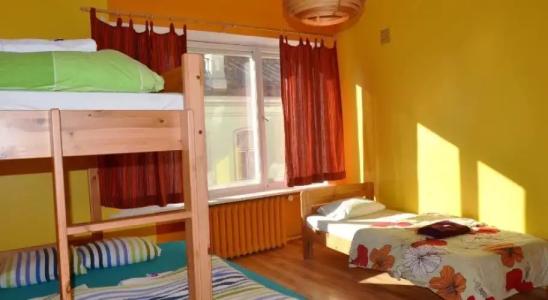 Viru Backpackers Hostel - 5