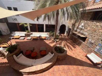 Camel Dive Club & - Boutique - 11