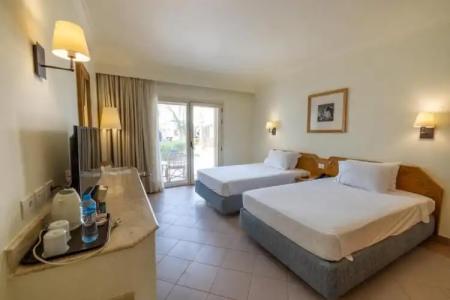 Camel Dive Club & - Boutique - 23