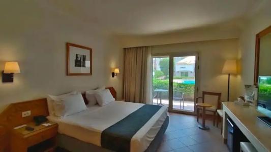 Camel Dive Club & - Boutique - 4