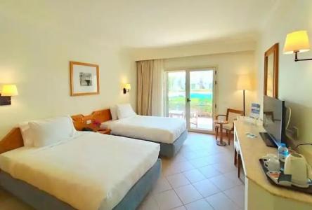 Camel Dive Club & - Boutique - 22