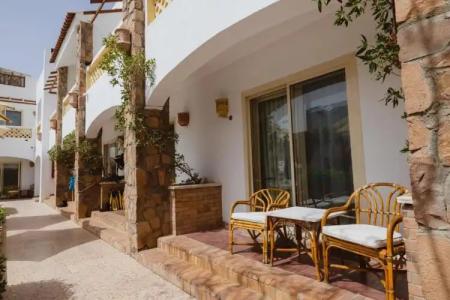 Camel Dive Club & - Boutique - 26
