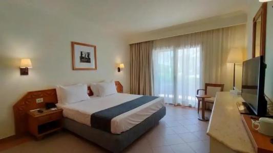 Camel Dive Club & - Boutique - 6