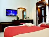 Superior Double room with garden view