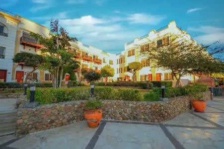 Falcon Naama Star - 101