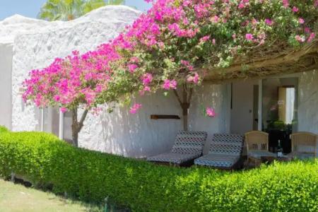 Labranda Sharm Club - 117