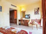 Standard Double room with pool view