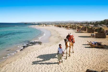 Shams Alam Beach Resort - 12