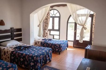 Daniela Diving Resort Dahab - 65