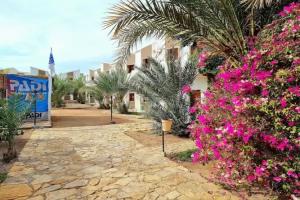 Jowhara Hotel, Dahab