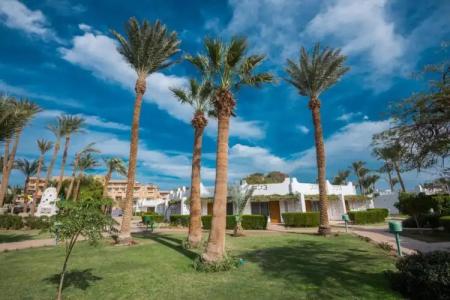 Shams Safaga Resort - 88