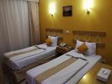 Standard Double room with pool view