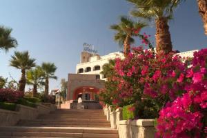 Basma Hotel Aswan, Aswan