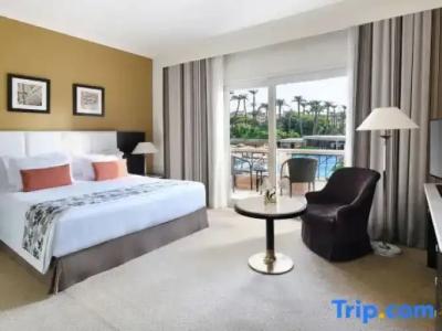 Pavillon Winter Luxor - 128