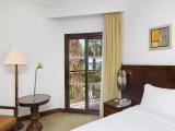 Partial Nile View Double room