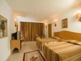 Standard Single room with balcony and with garden view