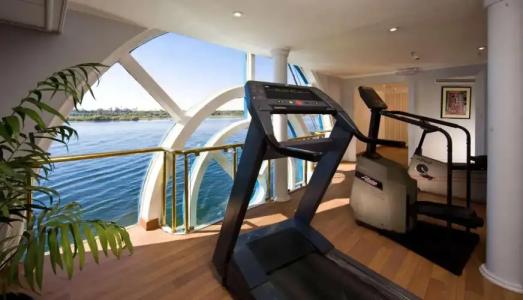 Sonesta Tower & Casino Cairo - 101