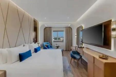 Sonesta Tower & Casino Cairo - 111