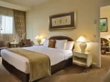 Deluxe Double Suite