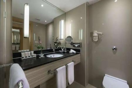 Radisson Blu, Cairo Heliopolis - 114