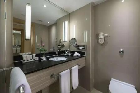 Radisson Blu, Cairo Heliopolis - 118