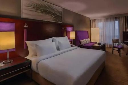 Radisson Blu, Cairo Heliopolis - 100