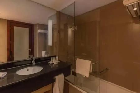 Radisson Blu, Cairo Heliopolis - 102