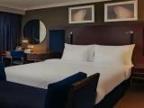 Executive Double Suite