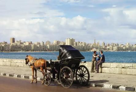 Four Seasons Alexandria At San Stefano - 31