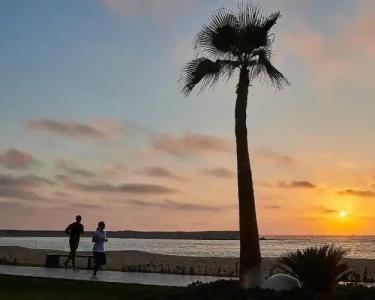 Four Seasons Alexandria At San Stefano - 23