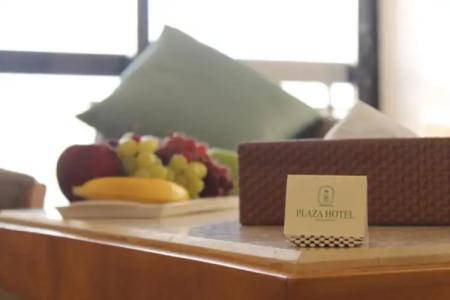 Plaza Alexandria - 44