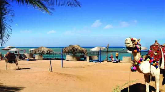 Dawar El Omda (Adults Only) - 16