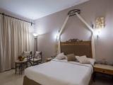 El Palacio Standard Double room with pool/lagoon view