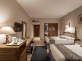Premium Double room with pool view