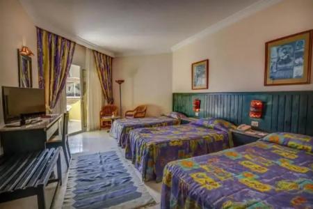 Palm Beach Resort Families and Couples only - 101