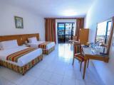 Standard Double room with garden view